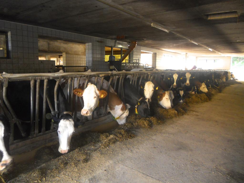 Ferienwohnung Am Bauernhof Strassonig Vulgo Hornis Moosburg Exterior foto